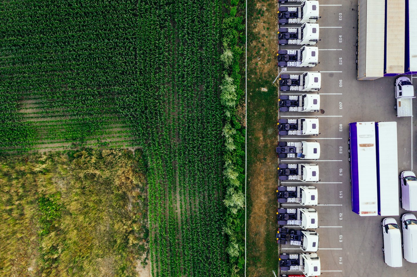 White semi-trucks are parked at a modern logistics hub next to trailers.